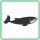 Whale Watching