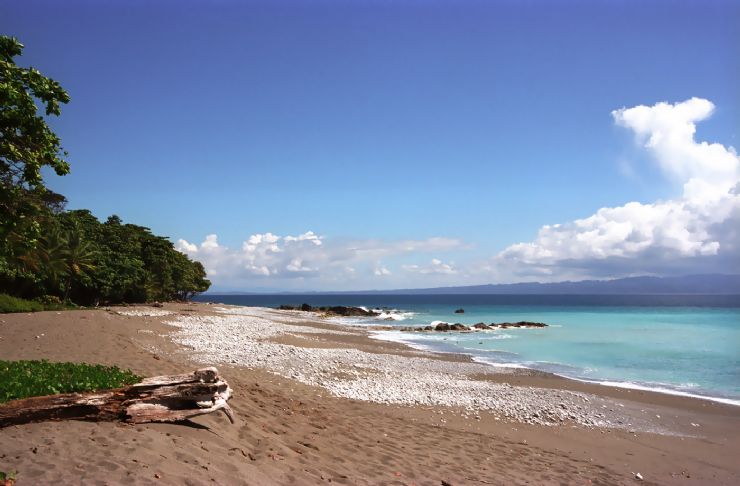 Pedazos de madera en Playa Matapalo