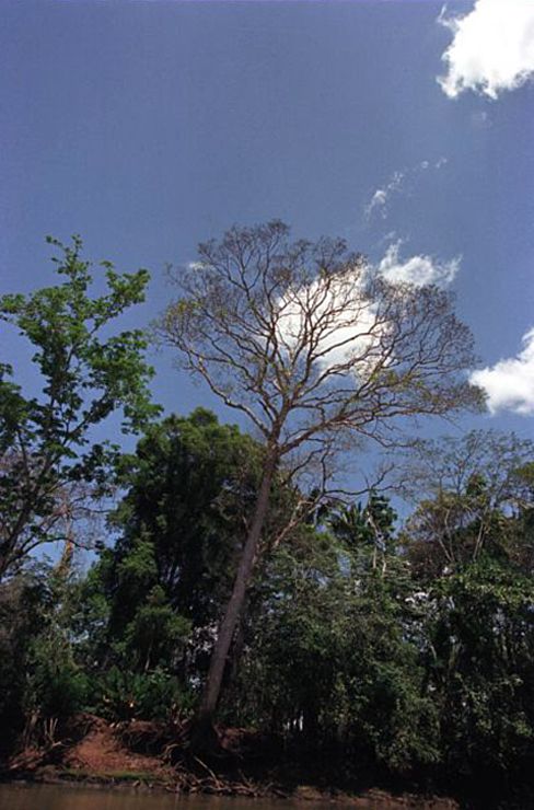 Ca�o Negro River Trip