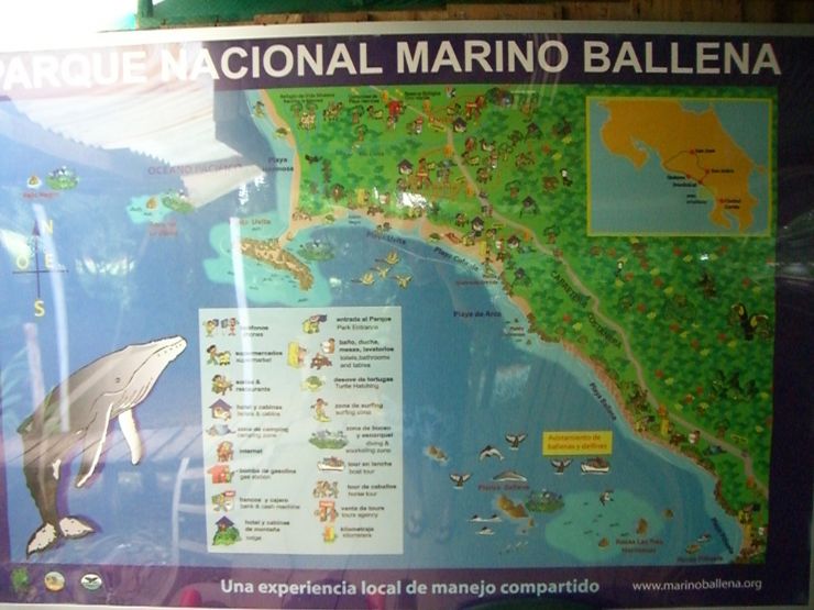 Mapa de la entrada del Parque Nacional Marino Ballena