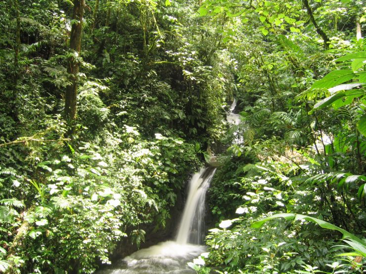 Catarata en la Reserva de Monteverde
