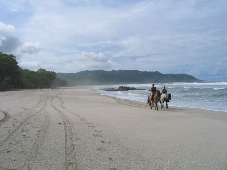 Riding Horses on Beach