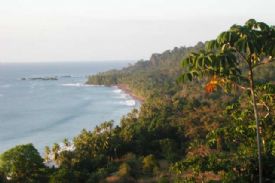 Playa San Josecito, South Drake Bay