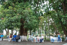 Parque en Alajuela&nbsp;-&nbsp;Alajuela, Alajuela