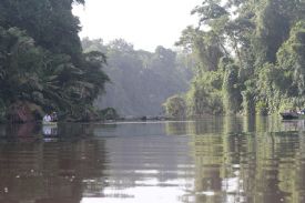 Montando en canoa en el Parque Nacional Tortuguero&nbsp;-&nbsp;Parque Nacional Tortuguero, Limon
