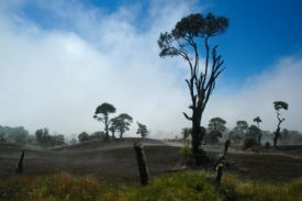 Hermoso escenario contiguo al Parque Nacional Volcan Irazu&nbsp;-&nbsp;Parque Nacional Volc�n Iraz�, Cartago