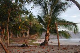Mal Pa�s Beach 