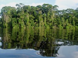 Las aguas calmas de Tortuguero&nbsp;-&nbsp;Parque Nacional Tortuguero, Limon