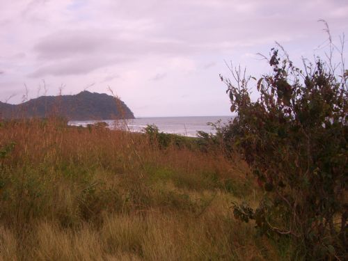 View of Camaronal Wildlife Refuge beach