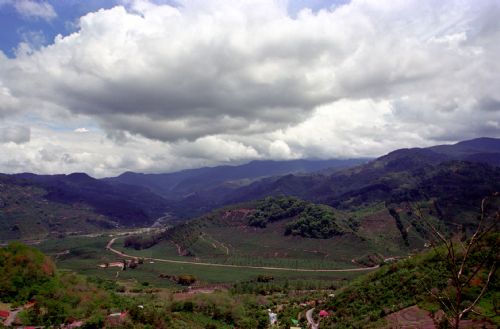 Orosi Valley