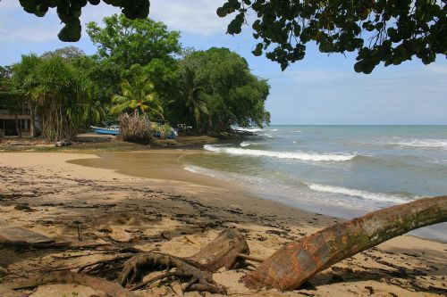 Cahuita Beach