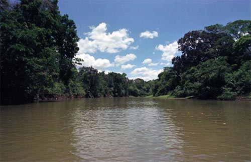 The beautiful Cano Negro River