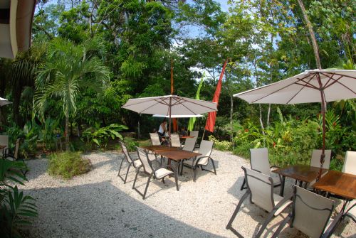 Dine with nature at Citrus restuarant