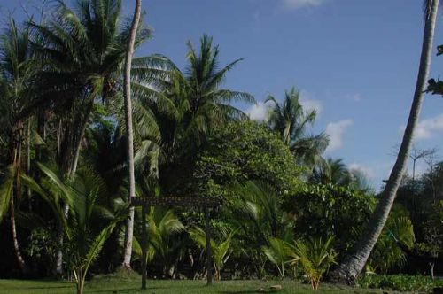 Remote land for sale in Drake Bay