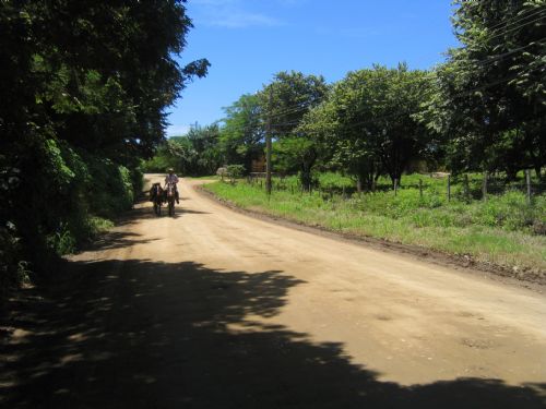 Guanacaste Cowboy (Vaquero)