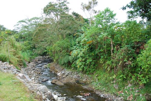 Little river in El Tanque, Alajuela