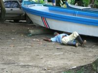Taking a siesta in Puerto Viejo&nbsp;-&nbsp;Puerto Viejo de Talamanca, Limon