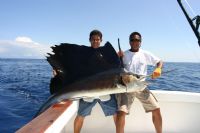 Sailfish in Southern Costa Rica