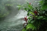 Aguas Termales de Costa Rica - Galeria de Fotos