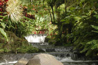 Fotos de Tours de Costa Rica