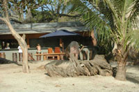 Playa Avallana Bar Scene