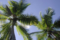 Drake Bay Beach
