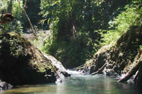 Costa Rican River
