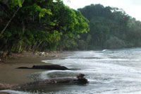 Playa San Josecito, South Drake Bay