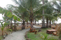 Tropico Latino Hotel, Mal Pa�s