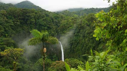 Tour al Bosque Nuboso de Costa Rica y Volcán Arenal 