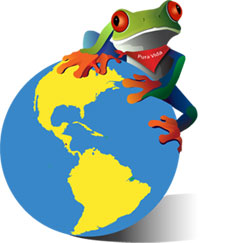 Javi the Frog & Pura Vida Newsletter