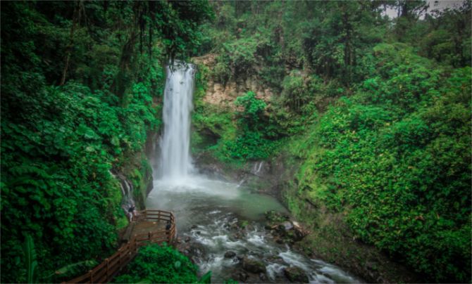 La Paz Waterfall Gardens en Peace Lodge