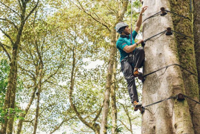 Escalando árboles con Monteverde Sky Adventures