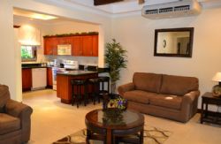 Fully Equipped and nicely furnished