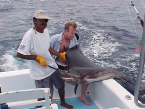 Catching a Sailfish at Bluefin Sportfishing Charters