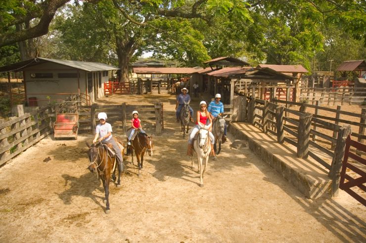 Horse stables at Hacienda Guachipelin