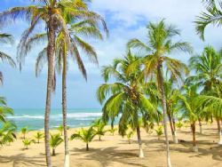 Beach in front of  Las Palmas