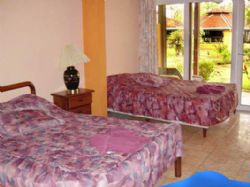 Standard Room at Las Palmas Beach Hotel