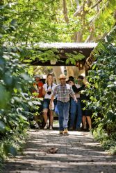 Welcome to our sustainable coffee plantation