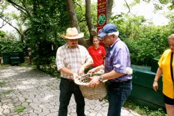 Learn how to pick coffee