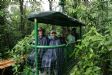 Rain Forest Aerial Tram