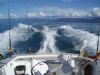 Sportfishing Dominical