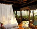 Eco Escape: A Sustainable Vacation
