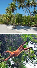 Alrededor de Costa Rica Tour