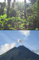 Bosque Nuboso y Volcán Arenal Tour