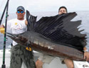Sportfishing Passion