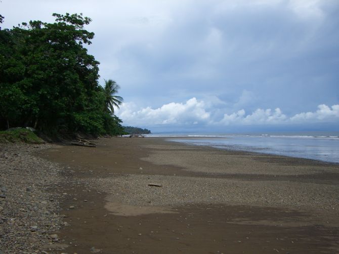 Playa amplia en el Parque Nacional Marino Ballena