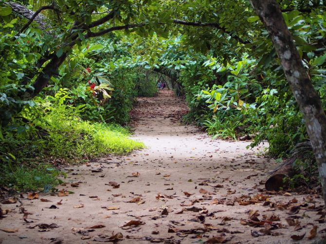 Sendero en el Parque Nacional Cahuita