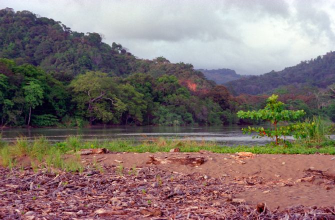 Aguas tranquilas en Playa dominical