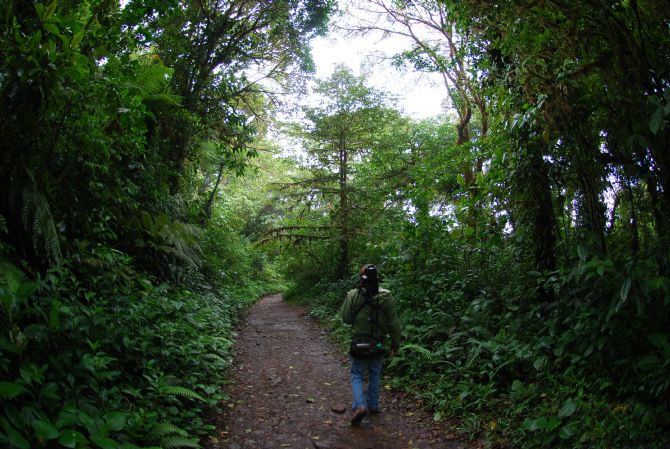 Guia en bisca de animales en la Reserva de Monteverde